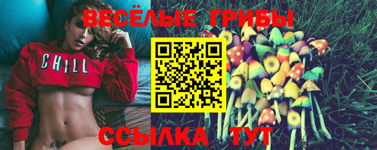 Псилоцибиновые грибы мухоморы Славянск-на-Кубани